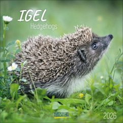 Cover Igel 2026