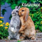 Kaninchen 2026