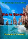 Arte De Escrever (eBook, PDF) Arte De Escrever (eBook, PDF)