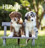 Hunde 2026 Hunde 2026