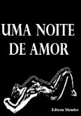 Uma Noite De Amor (eBook, ePUB)