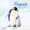 Pinguine 2026 - Bild 1