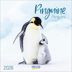 Cover Pinguine 2026