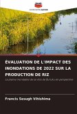 ÉVALUATION DE L'IMPACT DES INONDATIONS DE 2022 SUR LA PRODUCTION DE RIZ