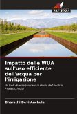 Impatto delle WUA sull'uso efficiente dell'acqua per l'irrigazione