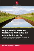 Impacto das WUA na utilização eficiente da água de irrigação Impacto das WUA na utilização eficiente da água de irrigação