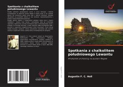 Spotkania z chalkolitem po¿udniowego Lewantu - F. C. Holl, Augustin