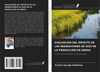 EVALUACIÓN DEL IMPACTO DE LAS INUNDACIONES DE 2022 EN LA PRODUCCIÓN DE ARROZ EVALUACIÓN DEL IMPACTO DE LAS INUNDACIONES DE 2022 EN LA PRODUCCIÓN DE ARROZ