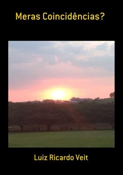 Meras Coincidências? (eBook, ePUB) - Veit, Luiz Ricardo