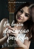 Em Busca Da Canção Perfeita (eBook, ePUB)