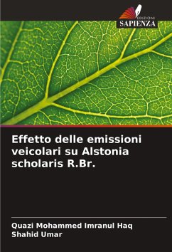 Cover Effetto delle emissioni veicolari su Alstonia scholaris R.Br.
