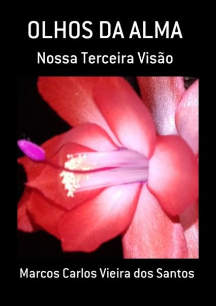 Olhos Da Alma (eBook, ePUB)