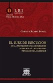 El juez de ejecución en la protección de los derechos humanos de las personas privadas de la libertad (eBook, PDF)