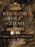 Królowie bez ziemi. Saga z epoki wikingów (Trylogia Tawastiana, #1) (eBook, ePUB)