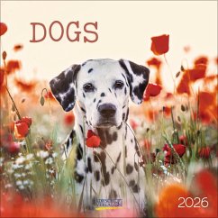 Cover Dogs 2026