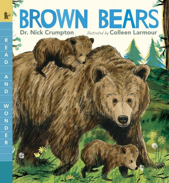 Brown Bears Brown Bears