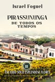 Pirassununga De Todos Os Tempos (eBook, PDF)