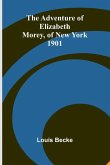 The Adventure of Elizabeth Morey, of New York 1901