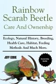 Rainbow Scarab Beetle Care and Ownership