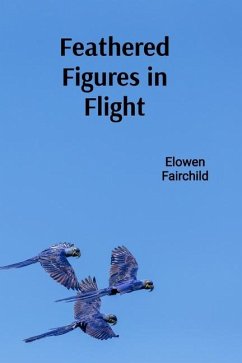 Cover Feathered Figures in Flight
