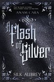 A Flash of Silver A Flash of Silver