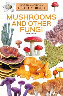 Cover Mushrooms and Other Fungi