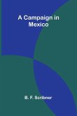 A Campaign in Mexico