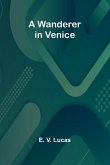 A Wanderer in Venice