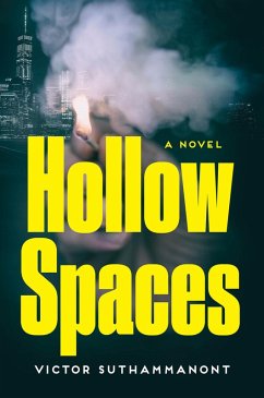 Cover Hollow Spaces