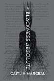 A Blackness Absolute A Blackness Absolute