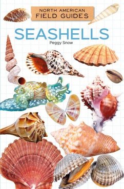 Cover Seashells