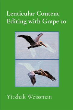 Lenticular Content Editing with Grape 10 - Weissman, Yitzhak