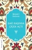 Dag Basinda Cicek Acti Dag Basinda Cicek Acti