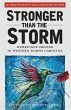 Stronger Than The Storm - Bild 1
