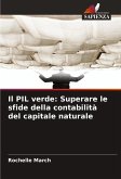 Il PIL verde: Superare le sfide della contabilità del capitale naturale