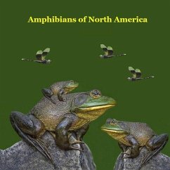 Amphibians of North America Kids Book - Marie, Kinsey; Grinslott, Billy