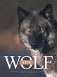 THE WOLF - Bild 1