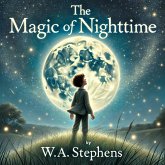 The Magic of Nighttime (eBook, ePUB)