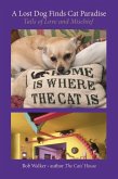 A Lost Dog Finds Cat Paradise A Lost Dog Finds Cat Paradise