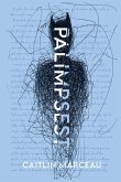 Palimpsest