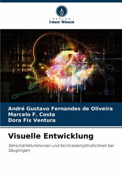 Cover Visuelle Entwicklung