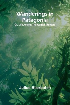 Cover Wanderings in Patagonia; Or, Life Among the Ostrich-Hunters