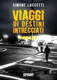 Viaggi di destini intrecciati (eBook, ePUB)