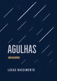 Agulhas (eBook, ePUB)