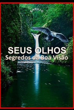 Seus Olhos (eBook, ePUB) Cover Seus Olhos (eBook, ePUB)