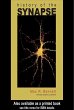 History of the Synapse (eBook, ePUB) - Bild 1
