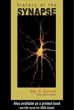 Cover History of the Synapse (eBook, ePUB)