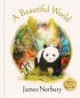 A Beautiful World (eBook, ePUB) - Bild 1