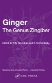 Ginger (eBook, ePUB)