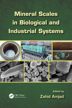 Cover Mineral Scales in Biological and Industrial Systems (eBook, ePUB)